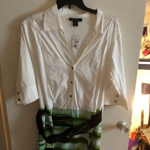 Ashley Stewart Dress